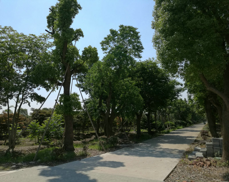 &#19975;&#35937;&#22478;&#22312;&#32447;&#45;&#19975;&#35937;&#22478;&#65288;&#20013;&#22269;&#65289;